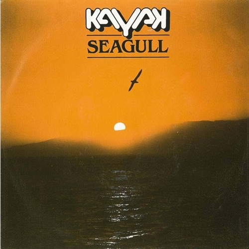 Vinyl / Kayak - Seagull