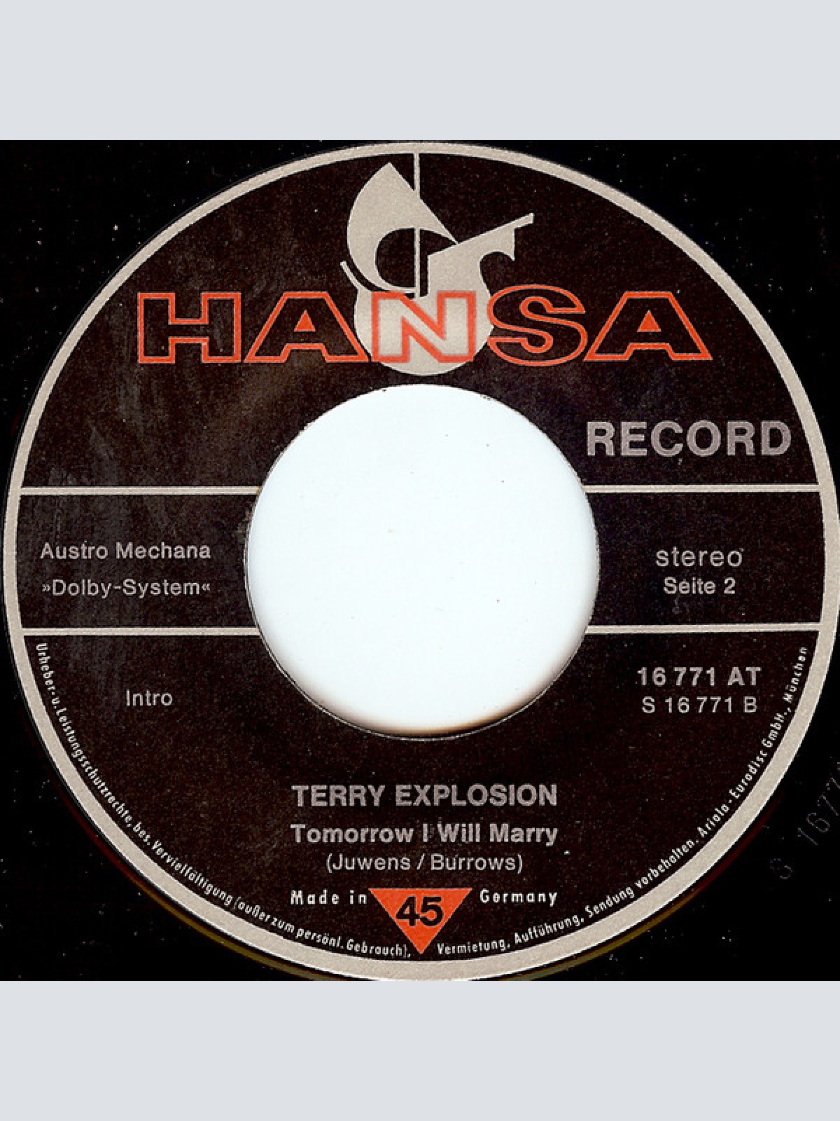 Vinyl / Terry Explosion - Disco-Polka (The Original English Version)