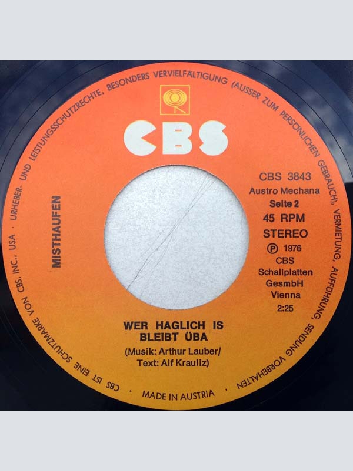 Vinyl / Misthaufen - Im Park Is Schee / Wer Haglich Is Bleibt Üba