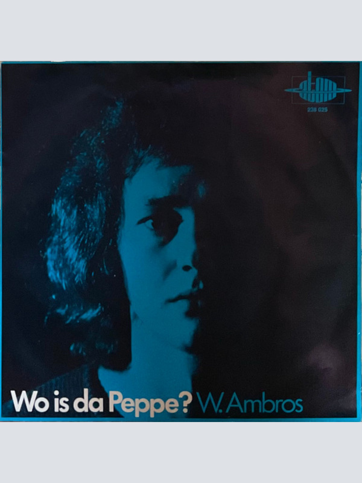 Vinyl / W. Ambros* - Wo Is Da Peppe? / Kagran