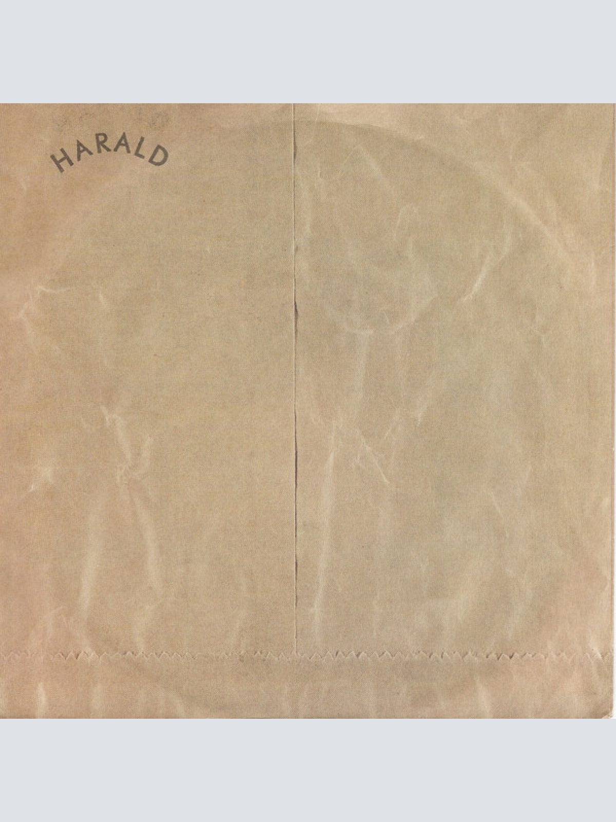 Vinyl / Led Zeppelin - Fool In The Rain / Hot Dog