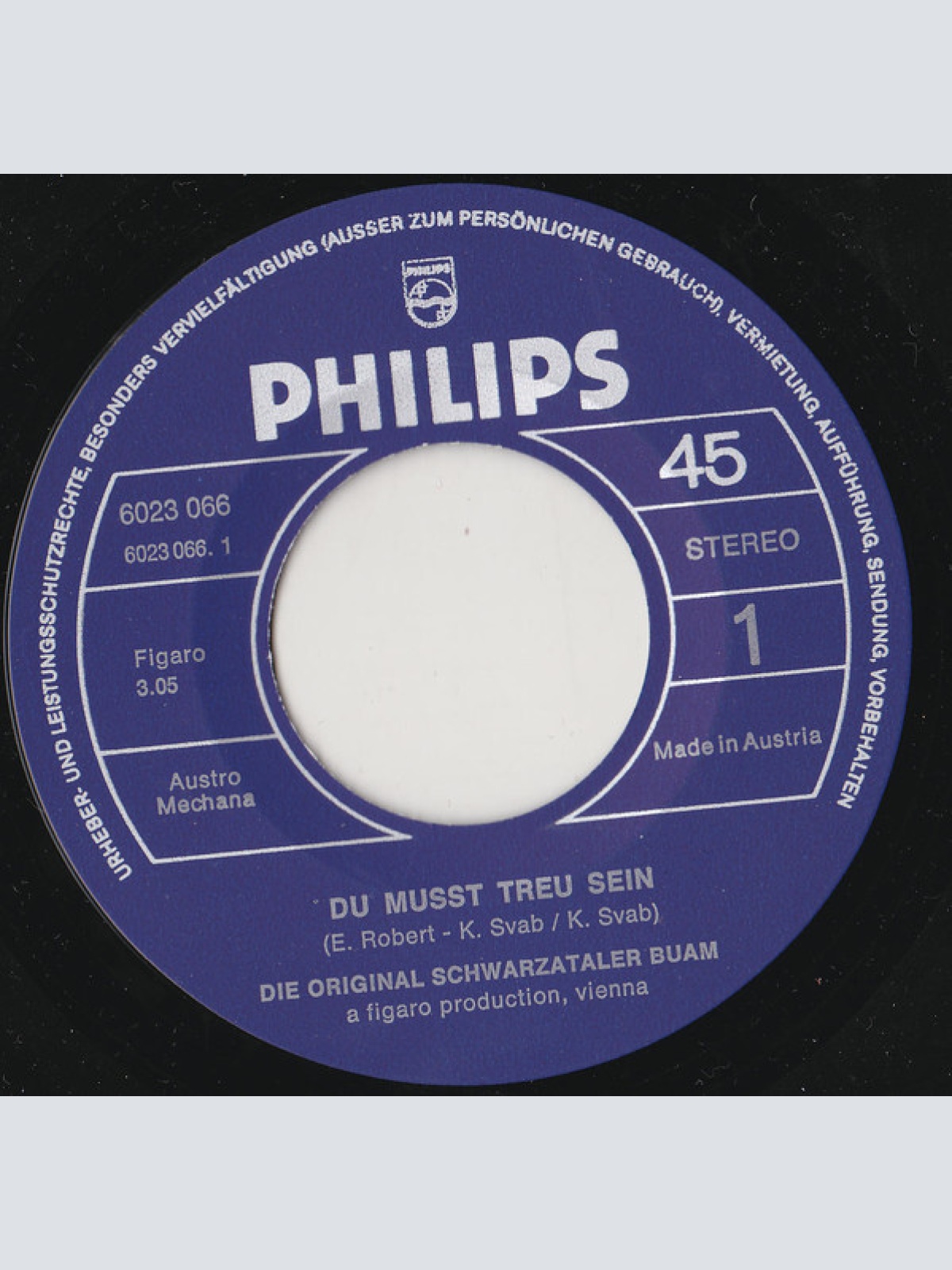 Vinyl / Die Original Schwarzataler Buam - Du Mußt Treu Sein