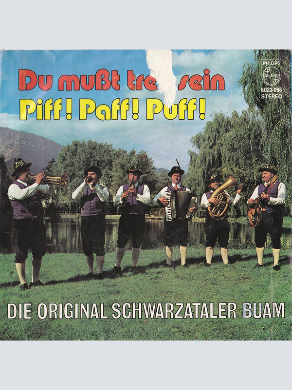 Vinyl / Die Original Schwarzataler Buam - Du Mußt Treu Sein