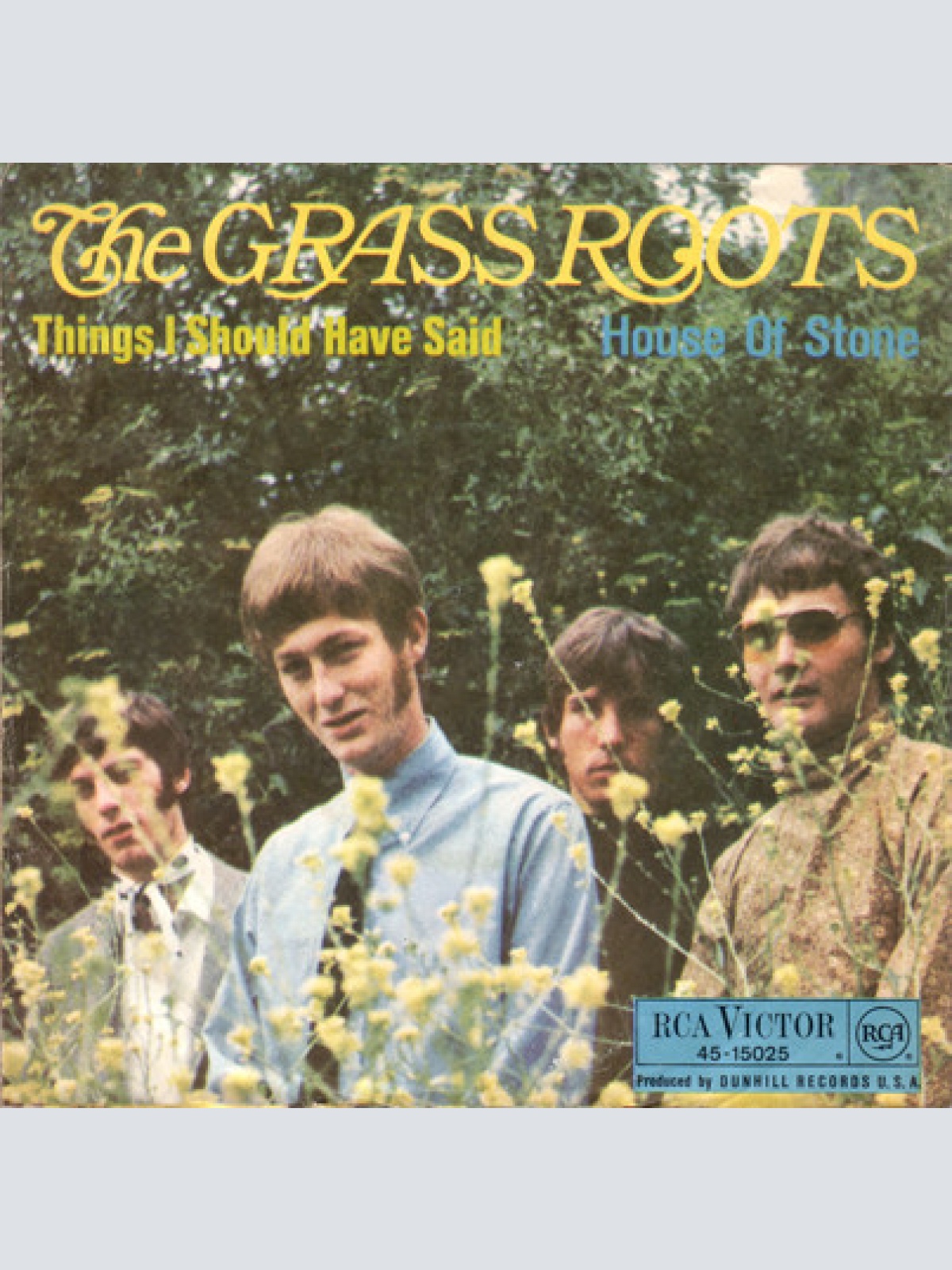 Vinyl / The Grass Roots - Things I Should Have Said