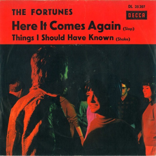 Vinyl / The Fortunes - Here It Comes Again / Things I Should Have Known