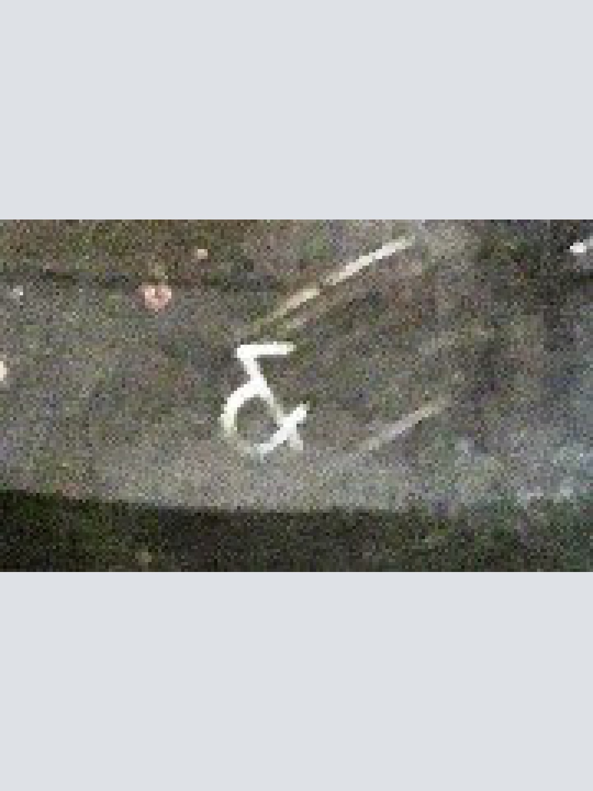 Vinyl / The Beatles - The Beatles' Second Album