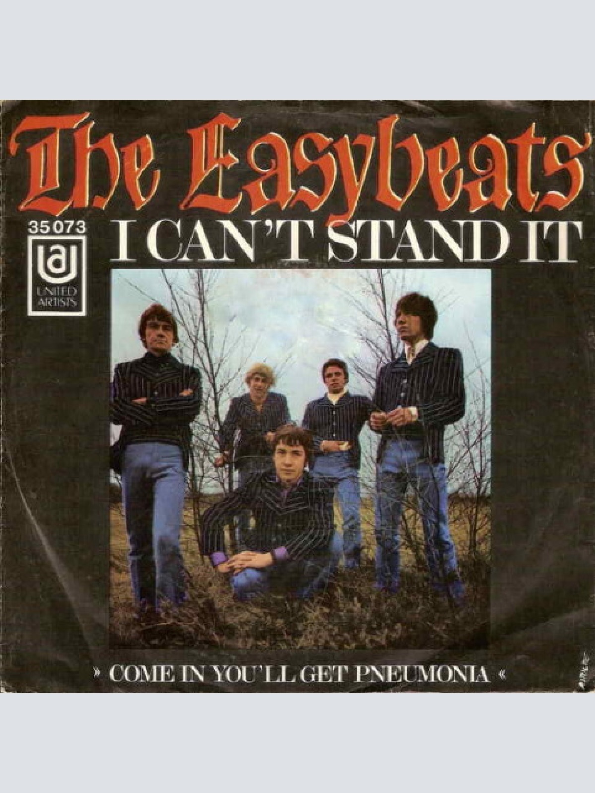 Vinyl / The Easybeats - I Can't Stand It