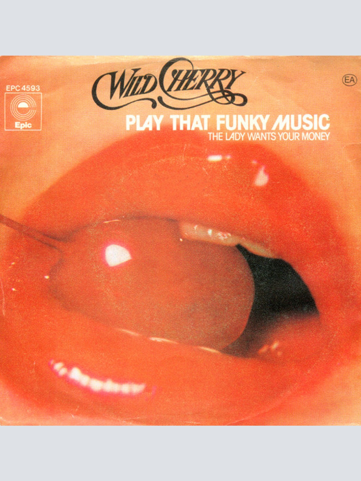Vinyl / Wild Cherry - Play That Funky Music