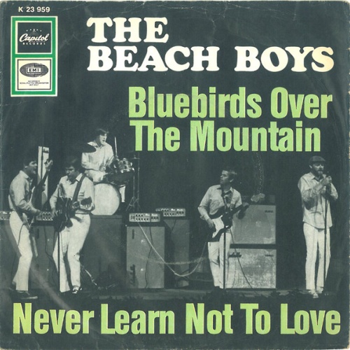 Vinyl / The Beach Boys - Bluebirds Over The Mountain / Never Learn Not To Love