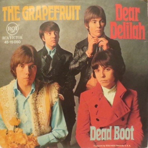 Vinyl / The Grapefruit* - Dear Delilah
