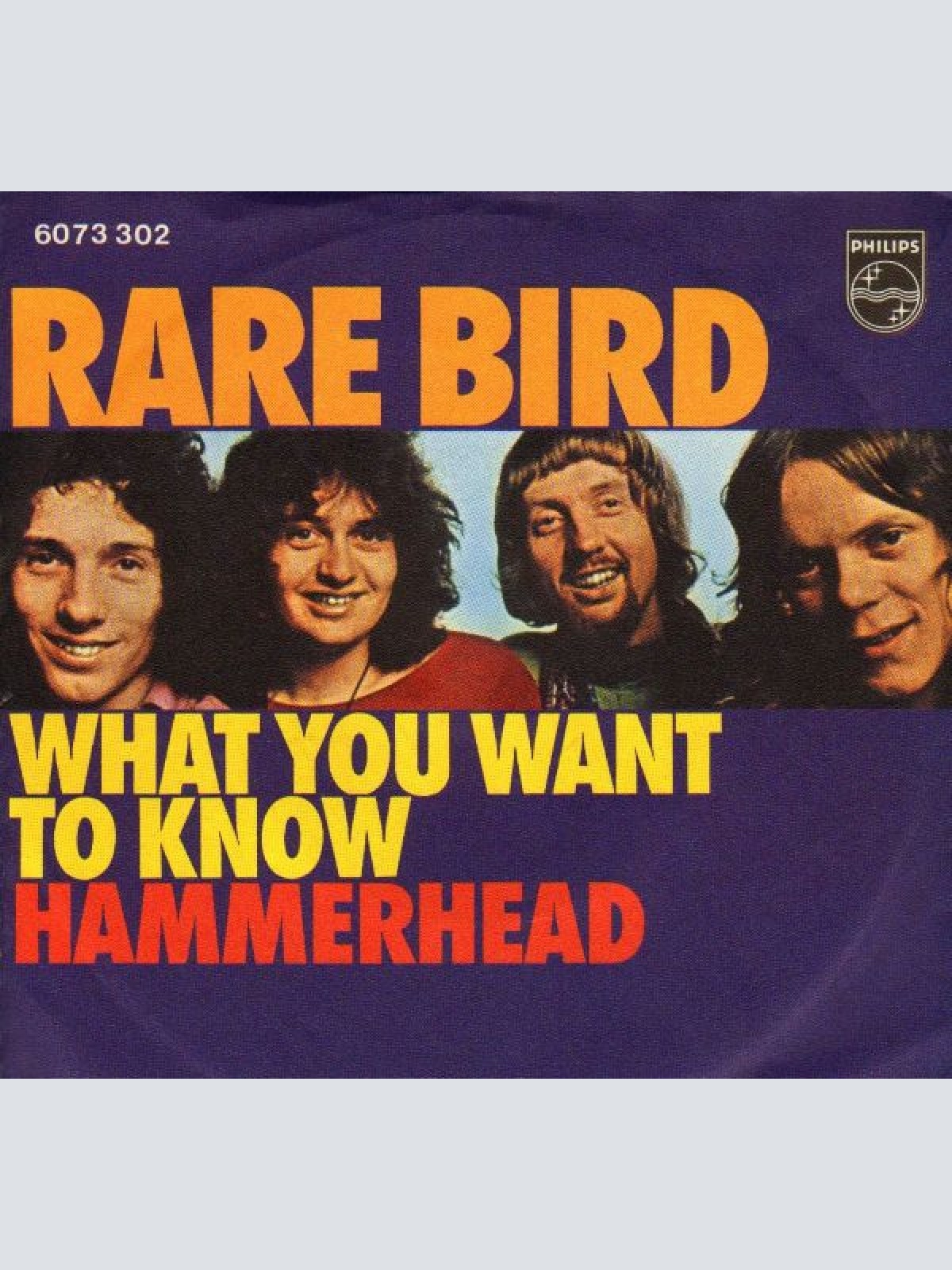 Vinyl / Rare Bird - What You Want To Know