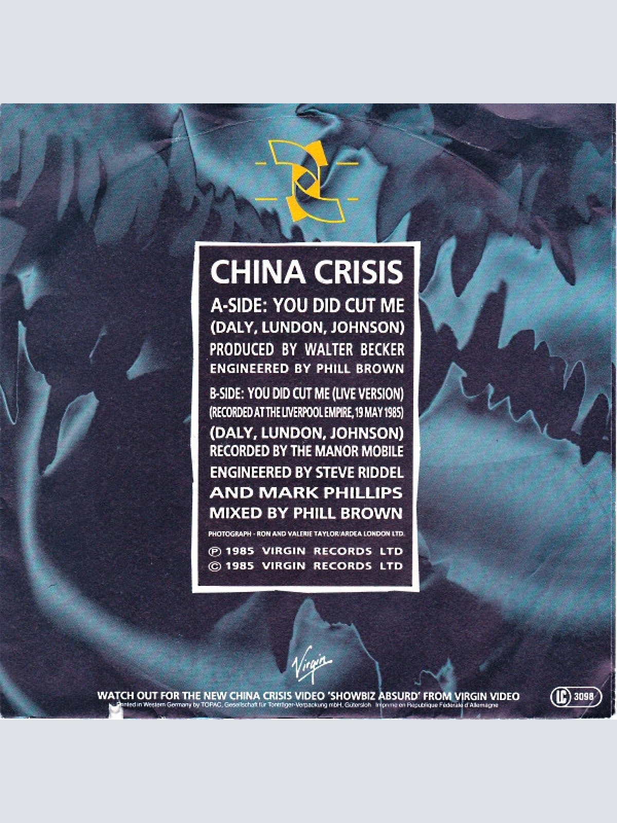 Vinyl / China Crisis - You Did Cut Me
