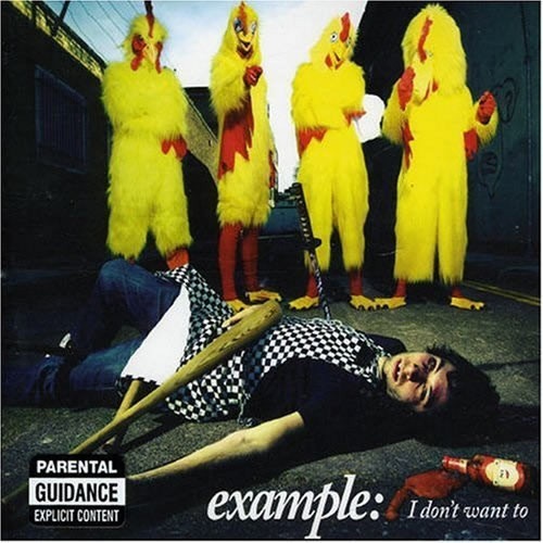 Vinyl / Example - I Don't Want To