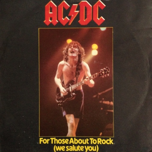 Vinyl / AC/DC - For Those About To Rock (We Salute You)