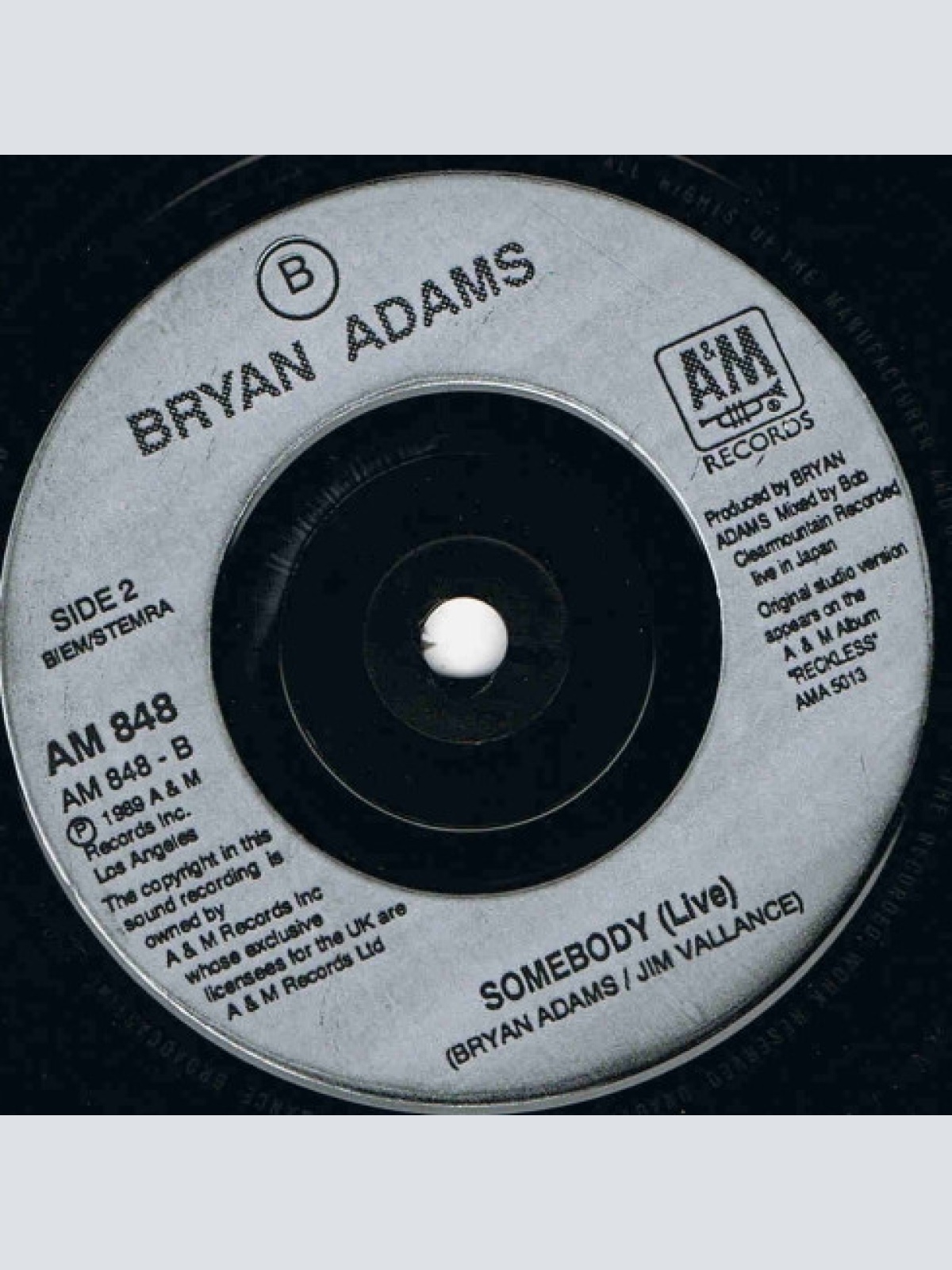 Vinyl / Bryan Adams - Thought I'd Died And Gone To Heaven