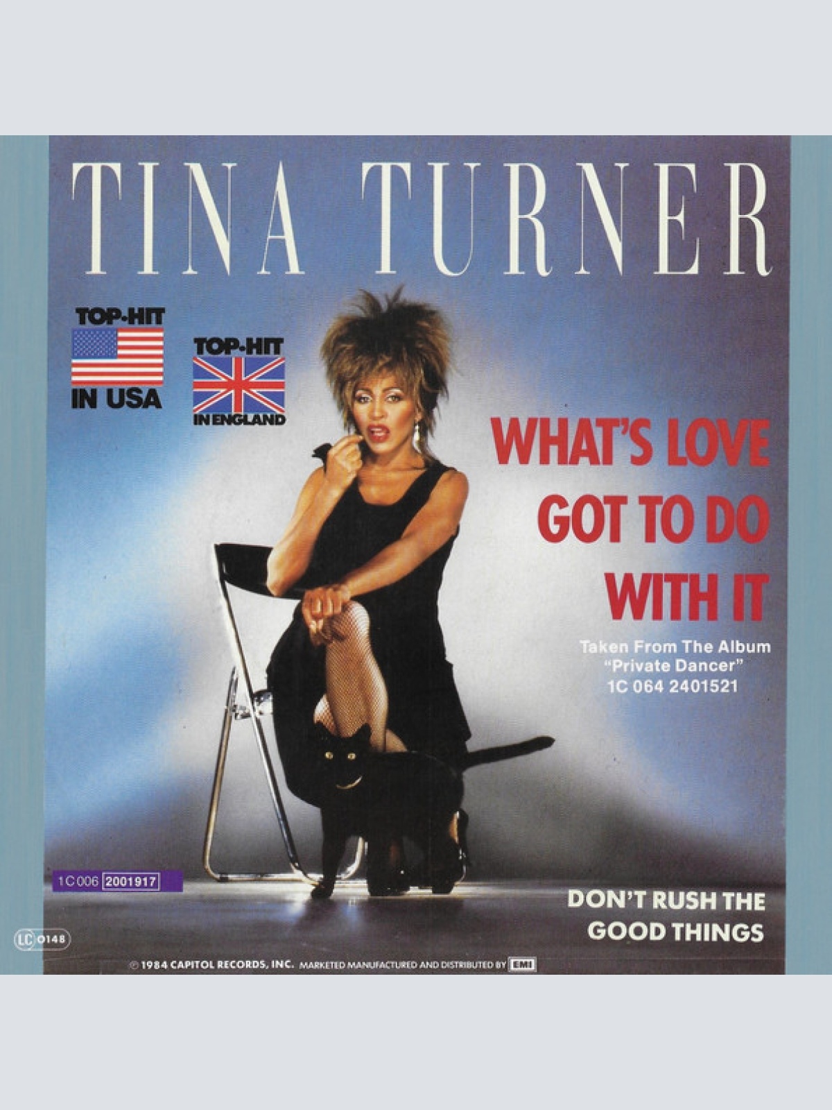 Vinyl / Tina Turner - What's Love Got To Do With It