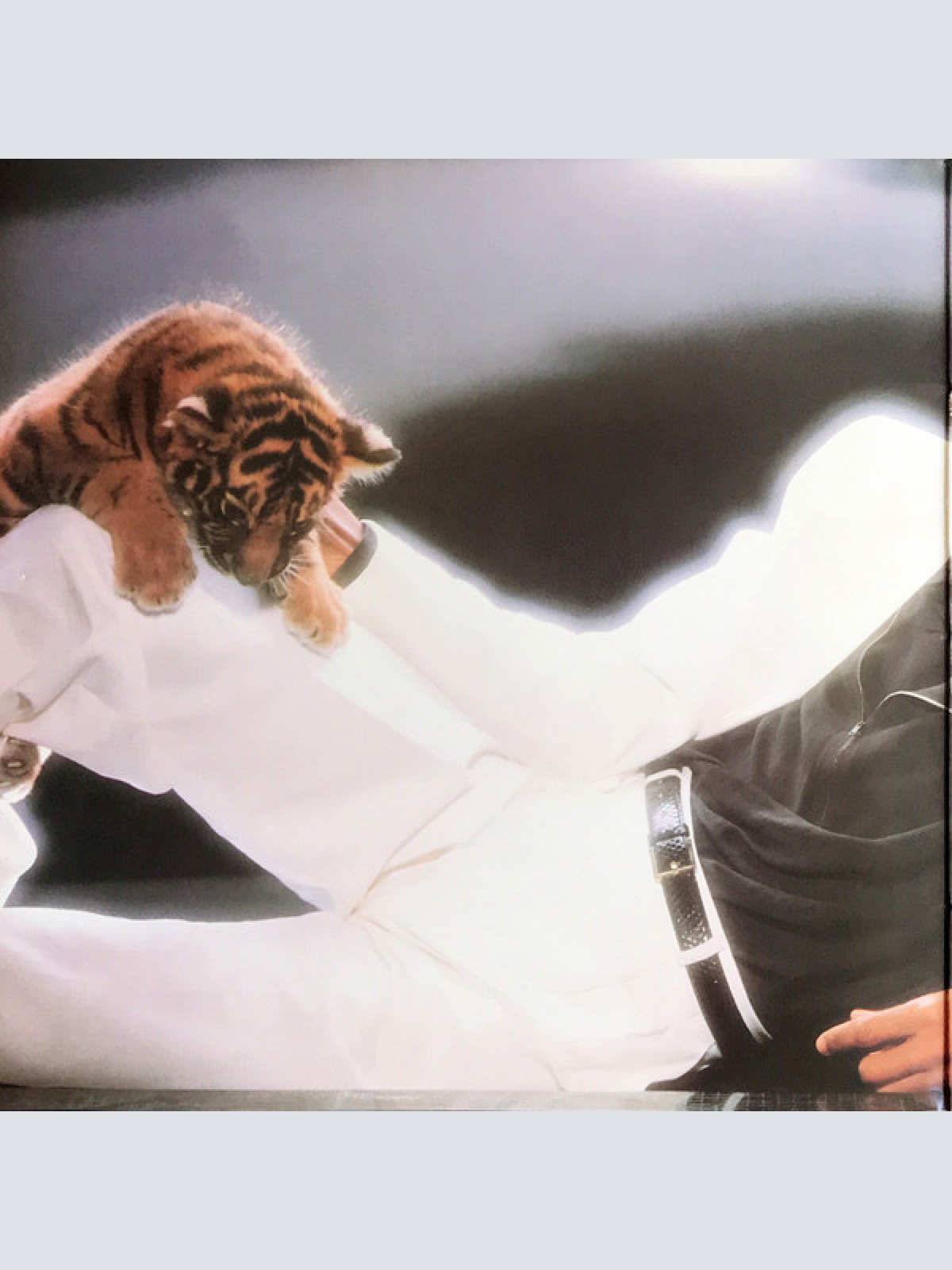 Vinyl / Michael Jackson - Thriller