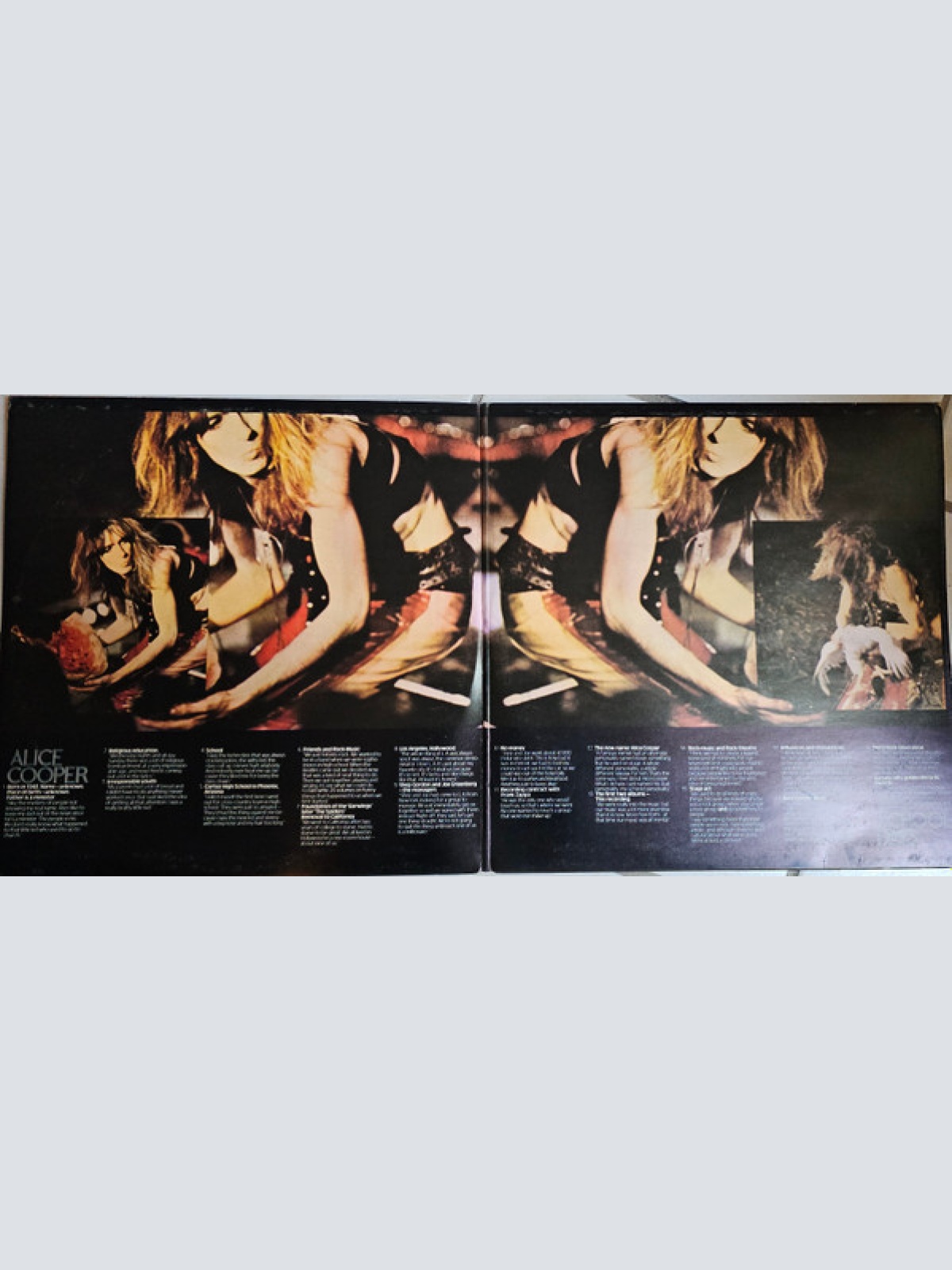 Vinyl / Alice Cooper - School Days - The Early Recordings