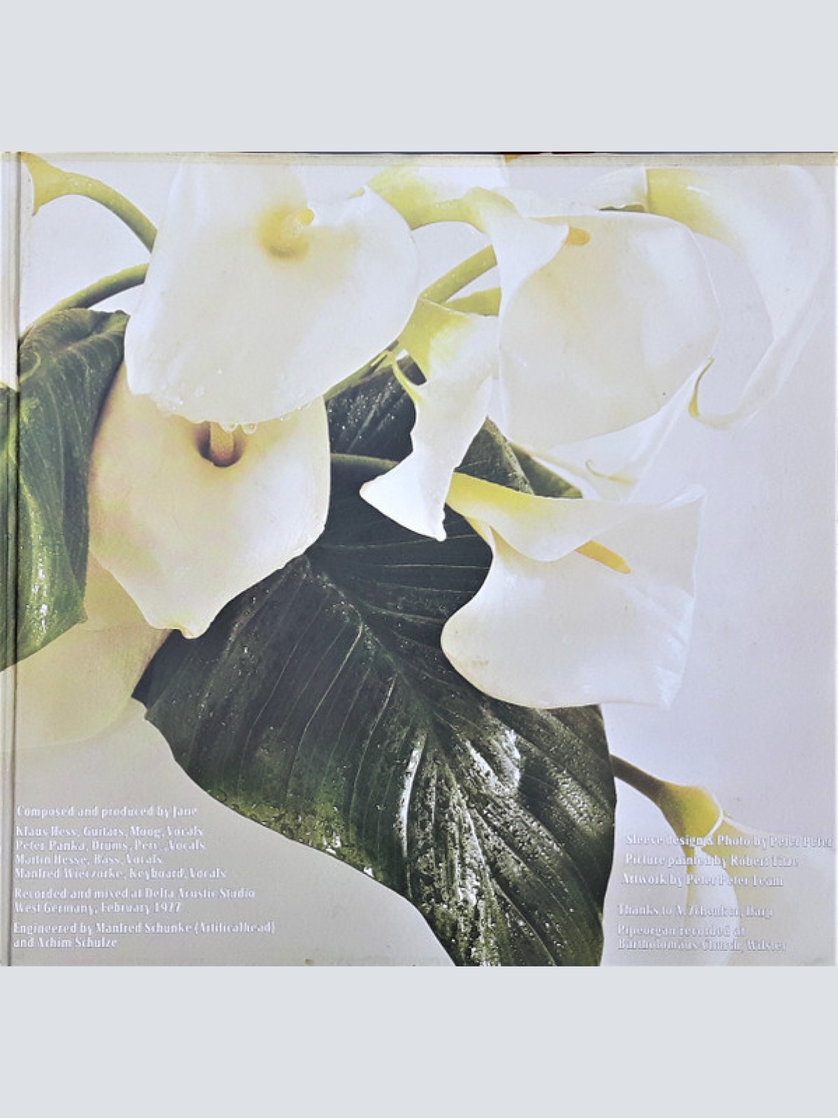 Vinyl / Jane - Between Heaven And Hell