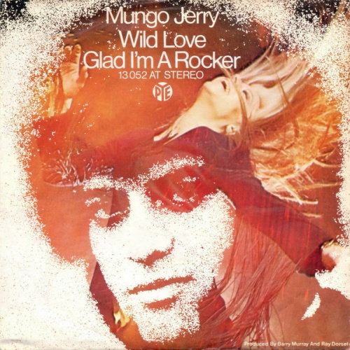 Vinyl / Mungo Jerry - Wild Love / Glad I'm A Rocker