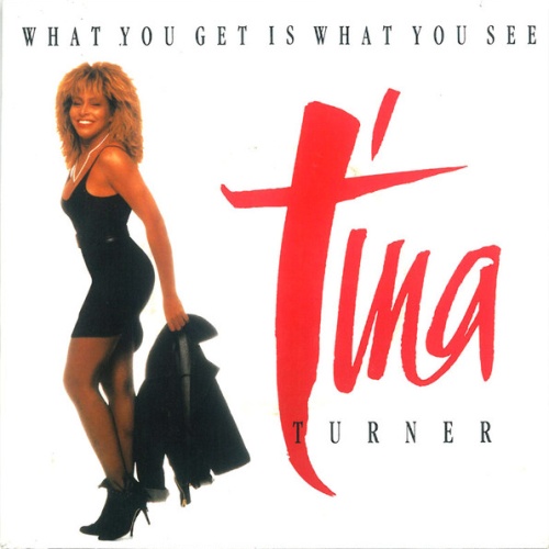 Vinyl / Tina Turner - What You Get Is What You See