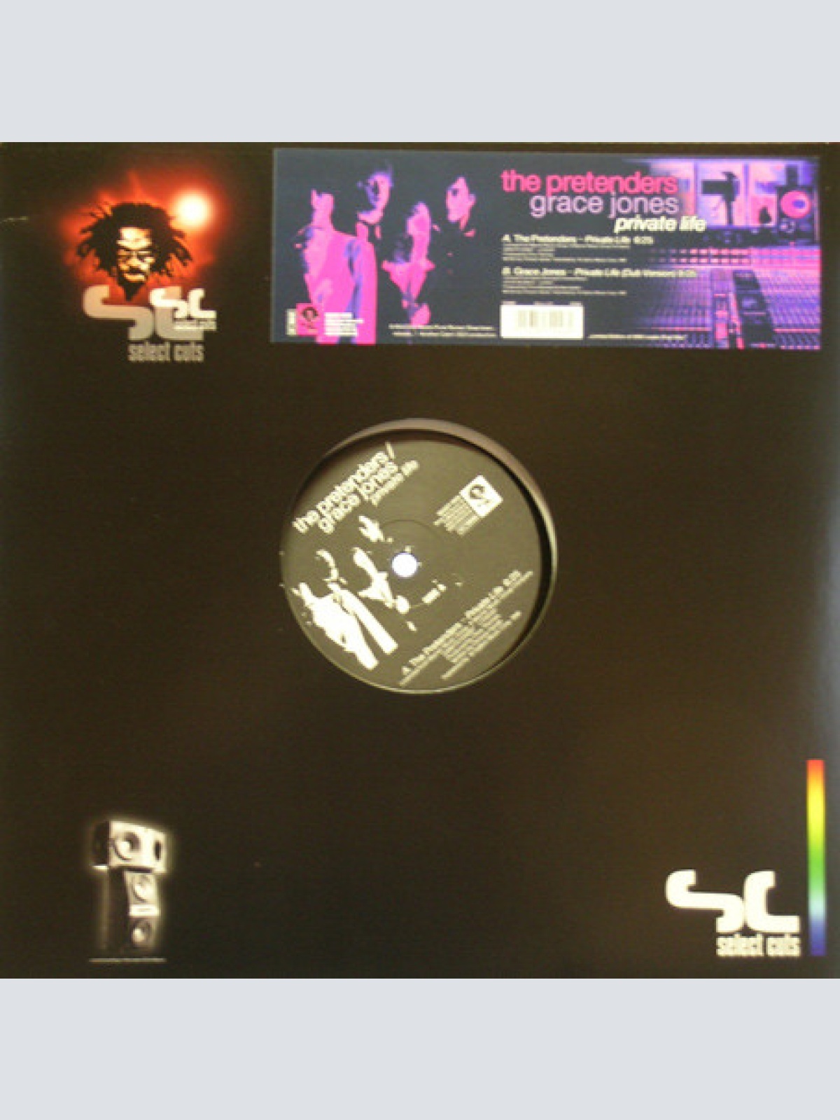 Vinyl / The Pretenders / Grace Jones - Private Life