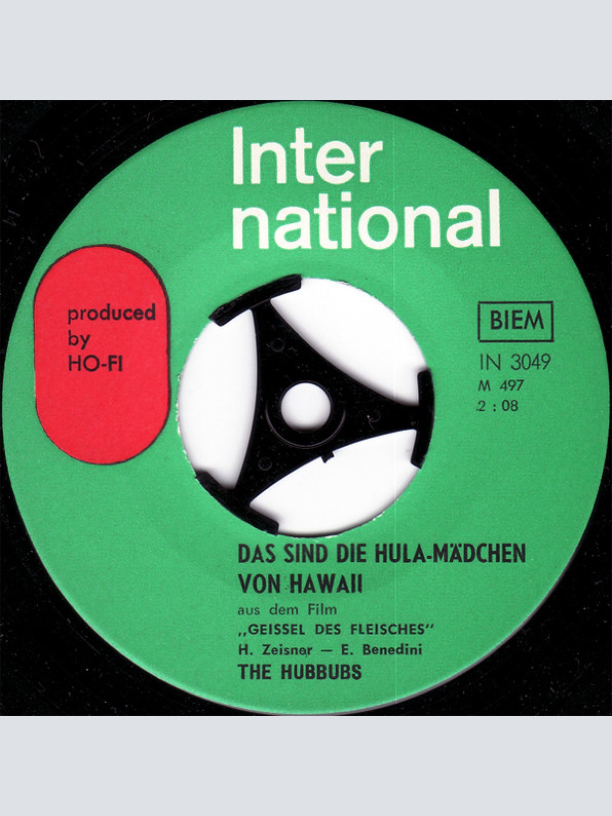 Vinyl / The Hubbubs - Geissel Des Fleisches