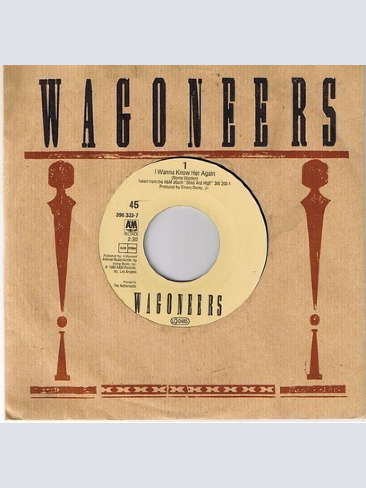 Vinyl / Wagoneers - I Wanna Know Her Again
