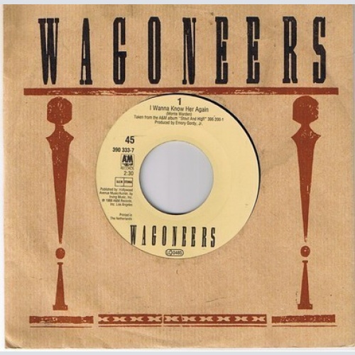 Vinyl / Wagoneers - I Wanna Know Her Again