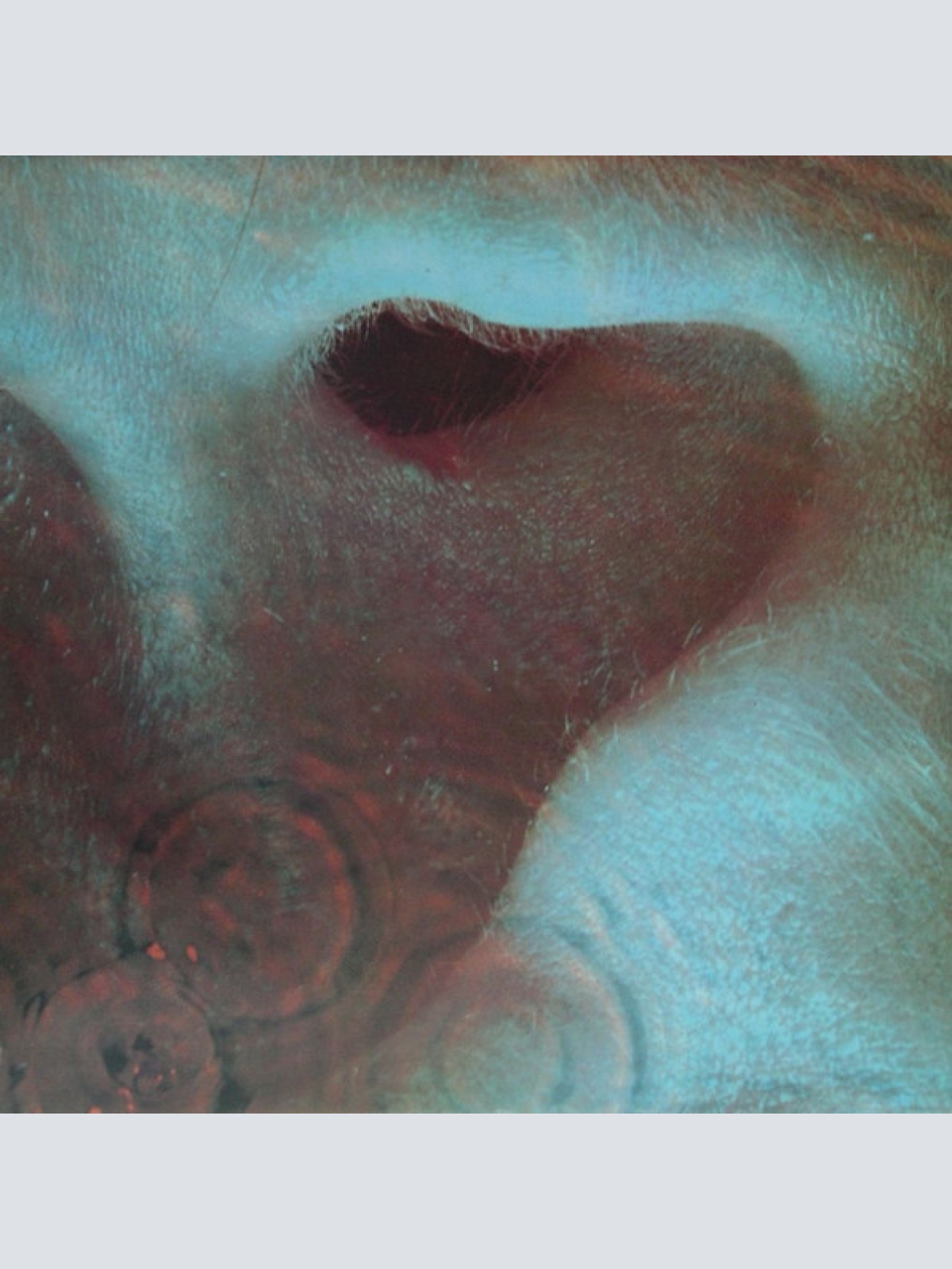 Vinyl / Pink Floyd - Meddle