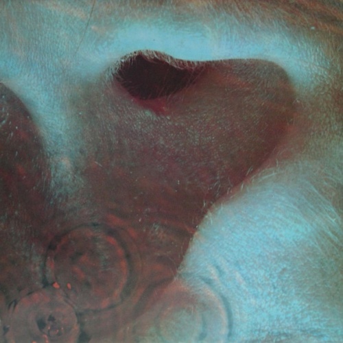Vinyl / Pink Floyd - Meddle