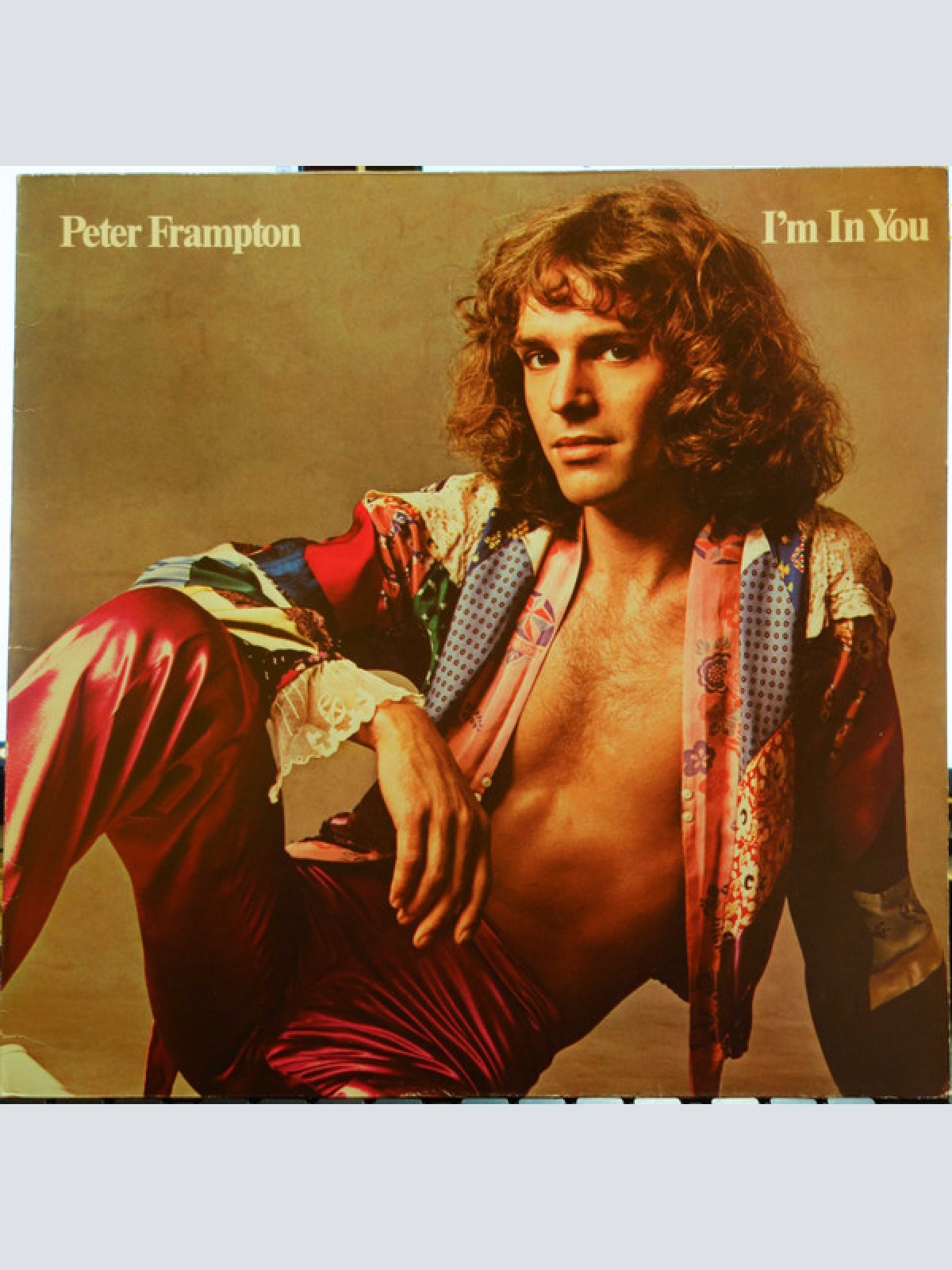 Vinyl / Peter Frampton - I'm In You