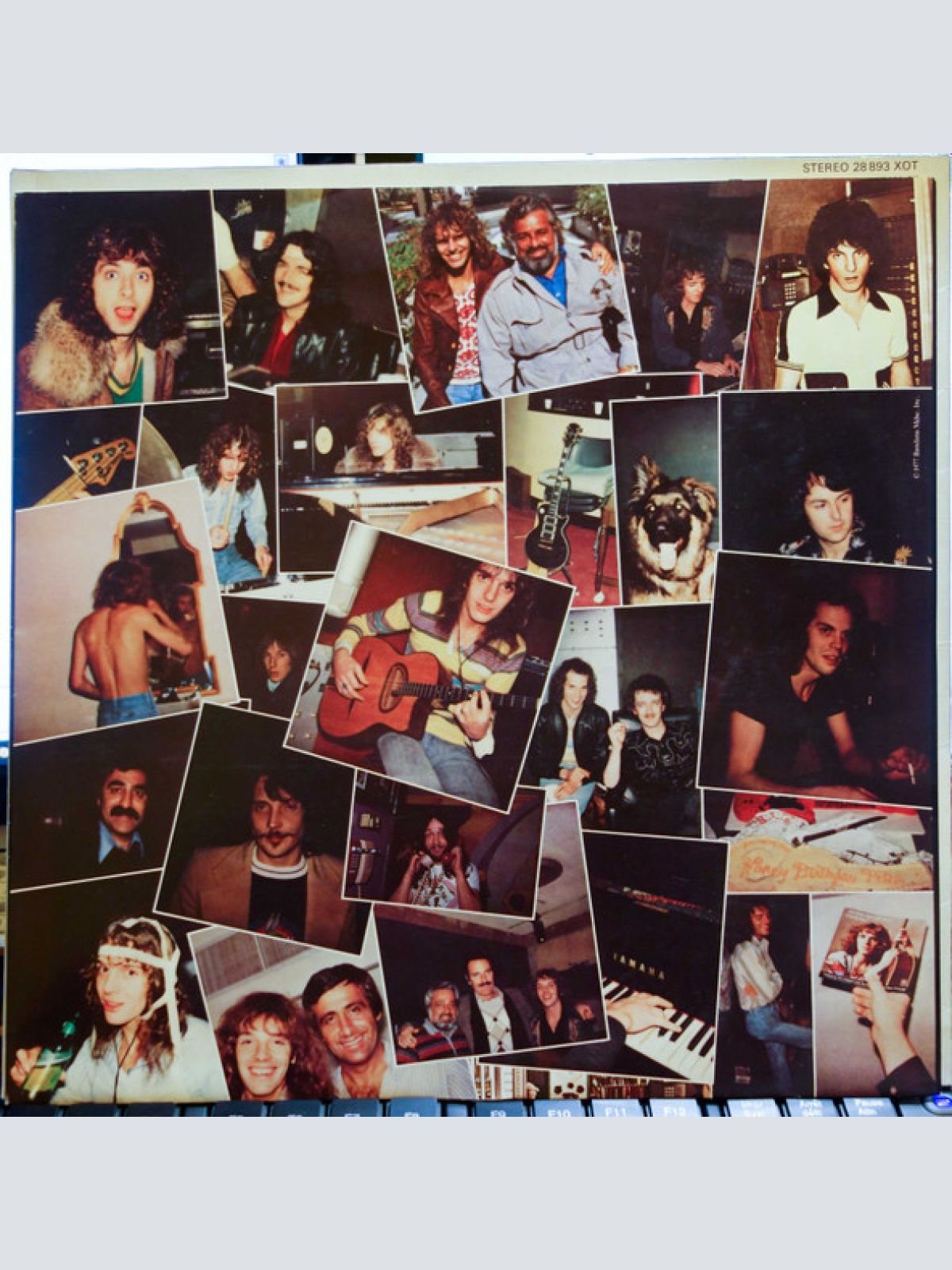 Vinyl / Peter Frampton - I'm In You