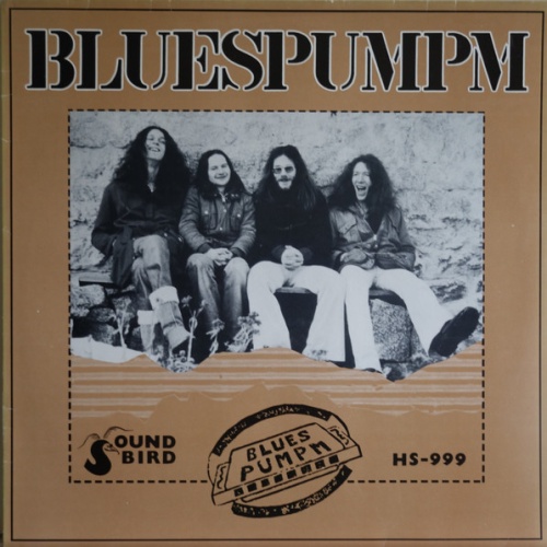Vinyl / Bluespumpm - Bluespumpm