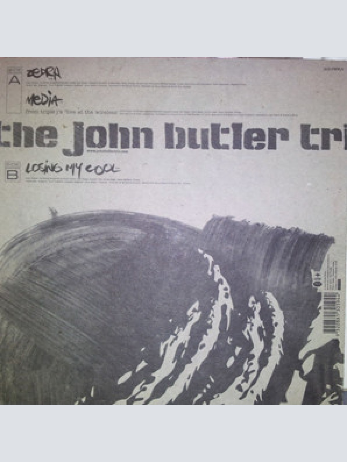 Vinyl / The John Butler Trio - Zebra