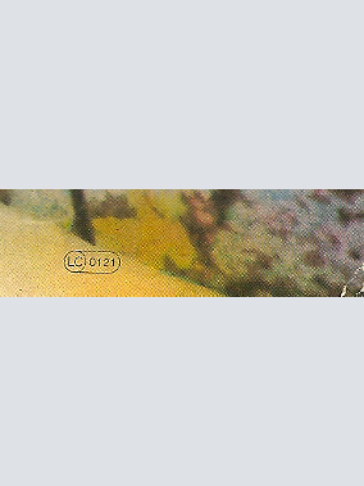 Vinyl / Led Zeppelin - Houses Of The Holy