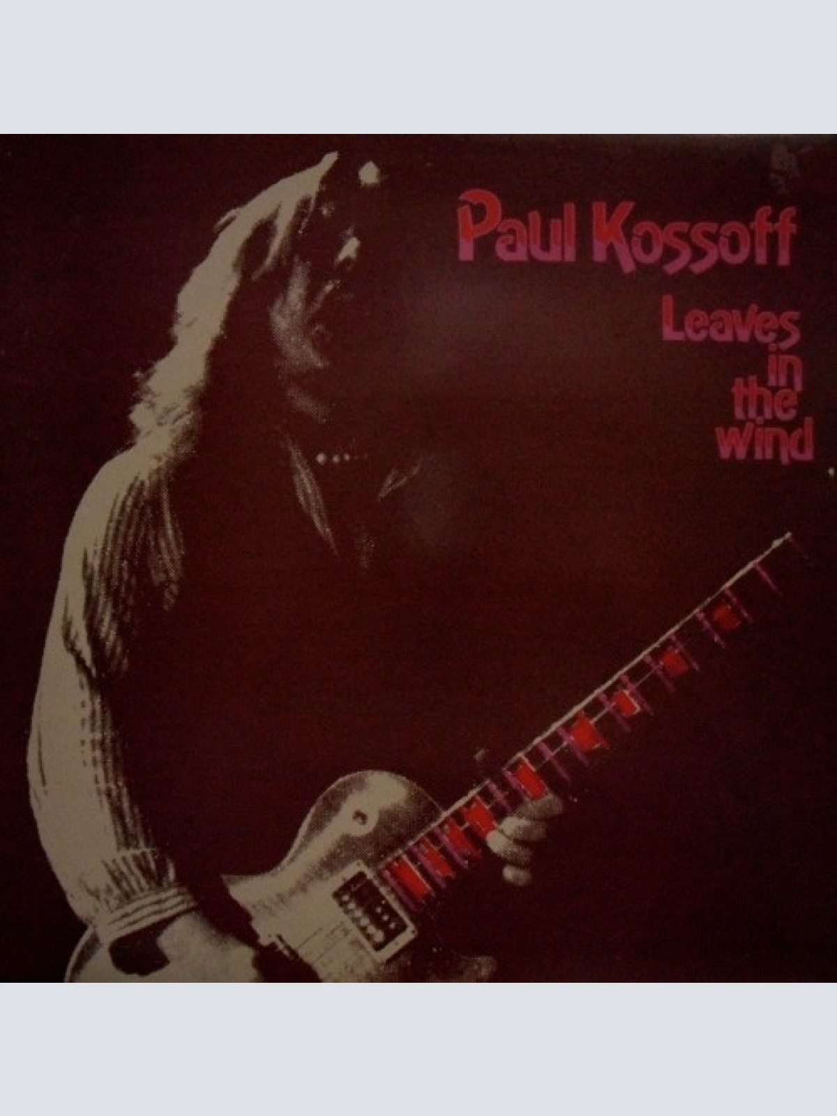 Vinyl / Paul Kossoff - Leaves  In The Wind