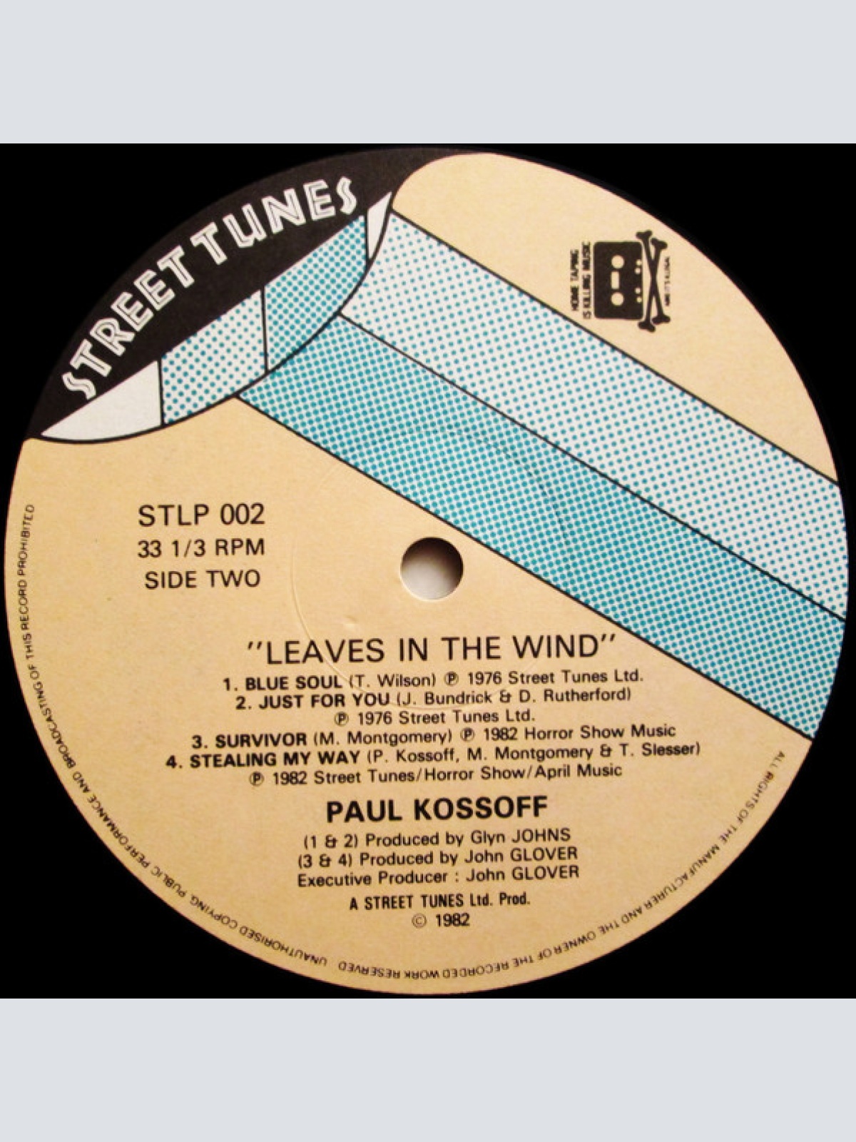 Vinyl / Paul Kossoff - Leaves  In The Wind