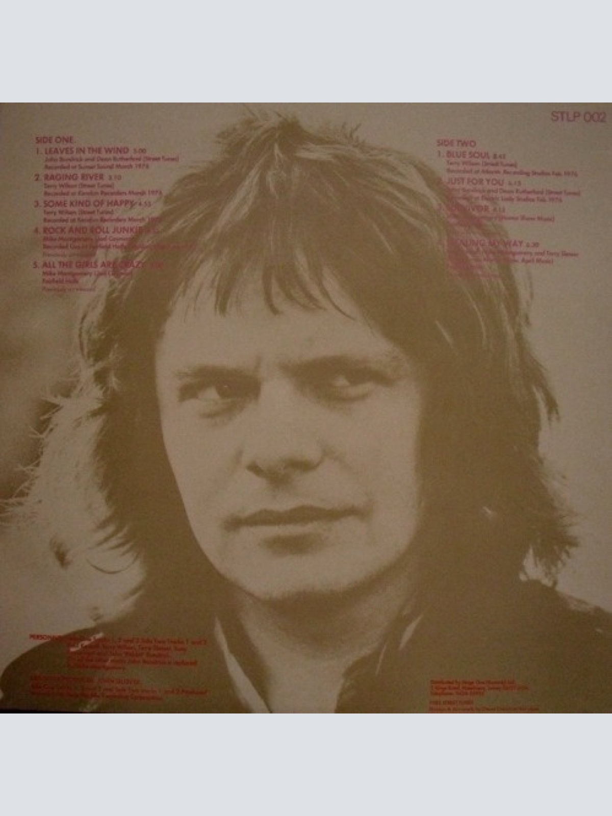 Vinyl / Paul Kossoff - Leaves  In The Wind