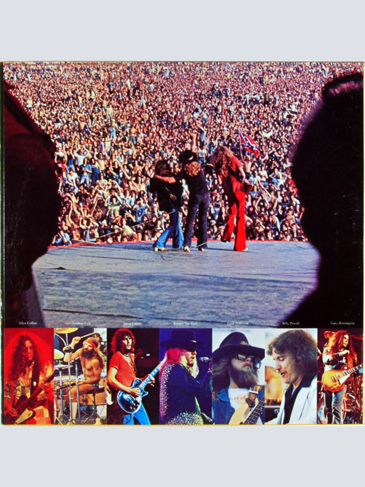 Vinyl / Lynyrd Skynyrd - Skynyrd's First And... Last