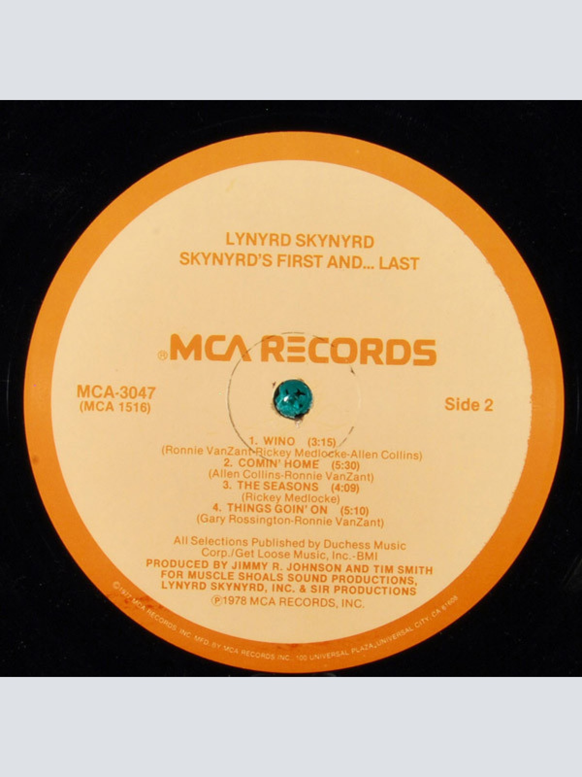 Vinyl / Lynyrd Skynyrd - Skynyrd's First And... Last