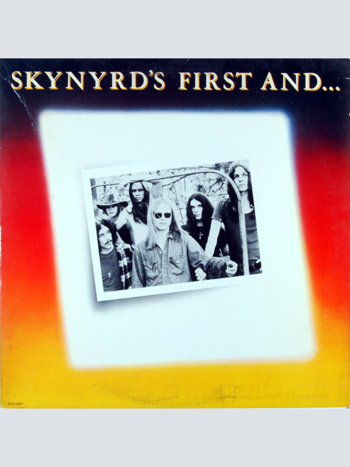 Vinyl / Lynyrd Skynyrd - Skynyrd's First And... Last