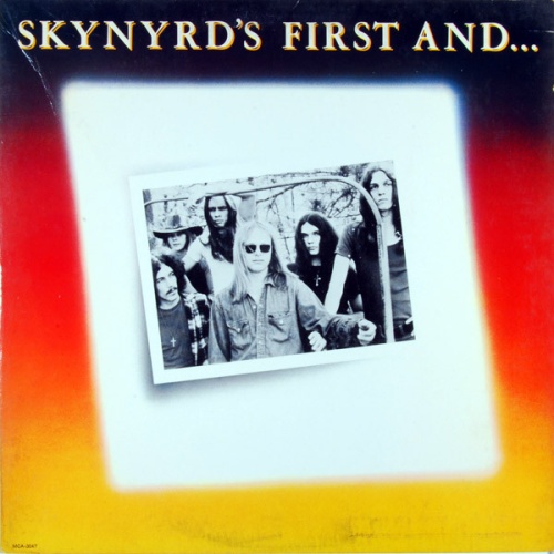 Vinyl / Lynyrd Skynyrd - Skynyrd's First And... Last