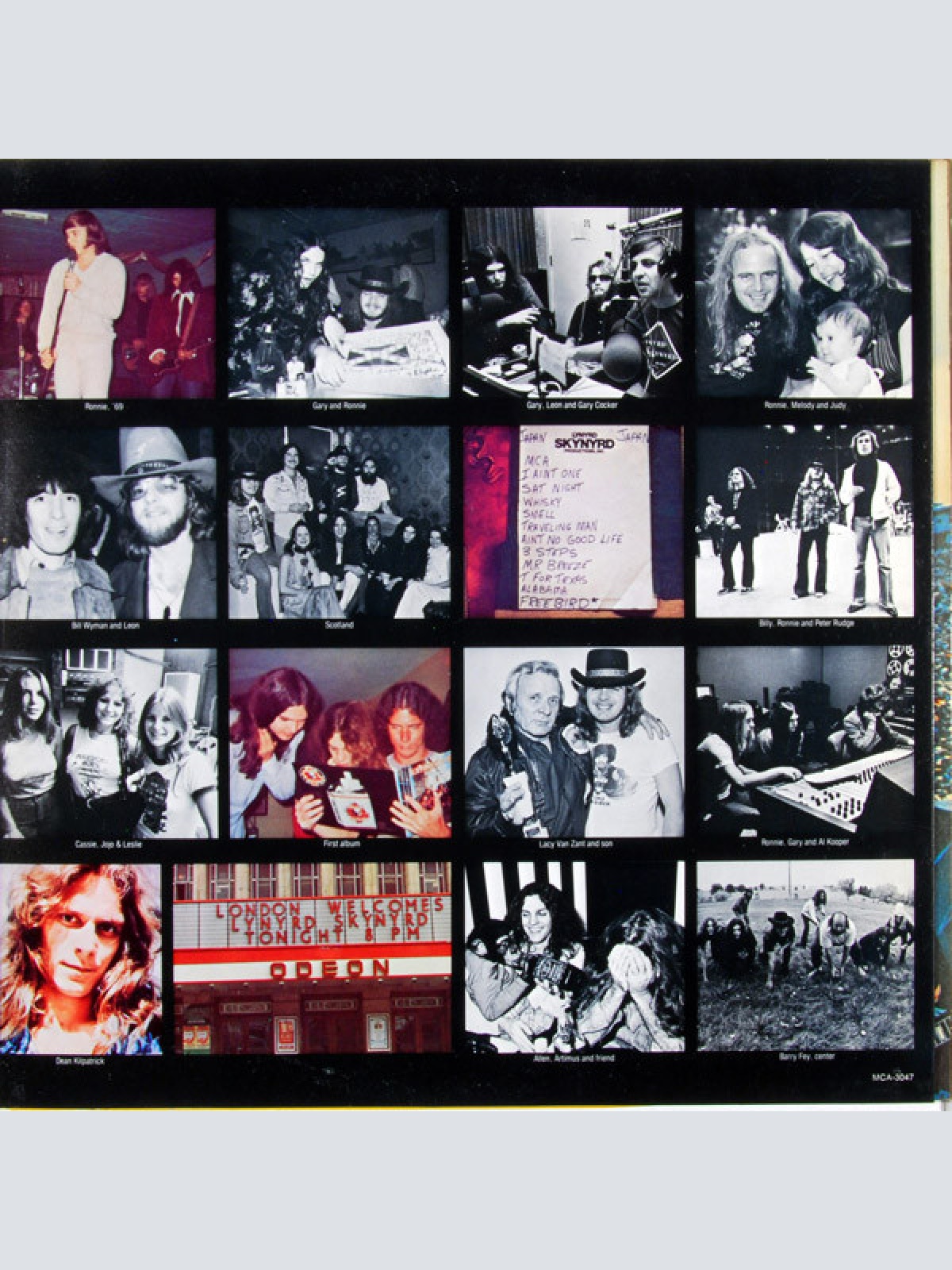 Vinyl / Lynyrd Skynyrd - Skynyrd's First And... Last