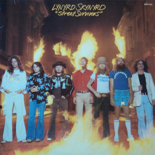 Vinyl / Lynyrd Skynyrd - Street Survivors