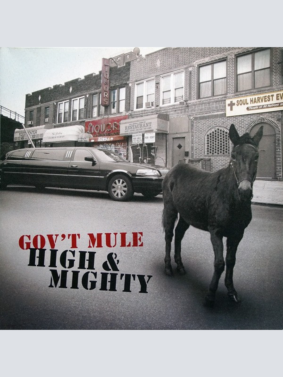 Vinyl / Gov't Mule - High & Mighty