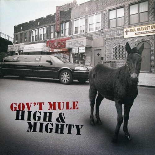 Vinyl / Gov't Mule - High & Mighty