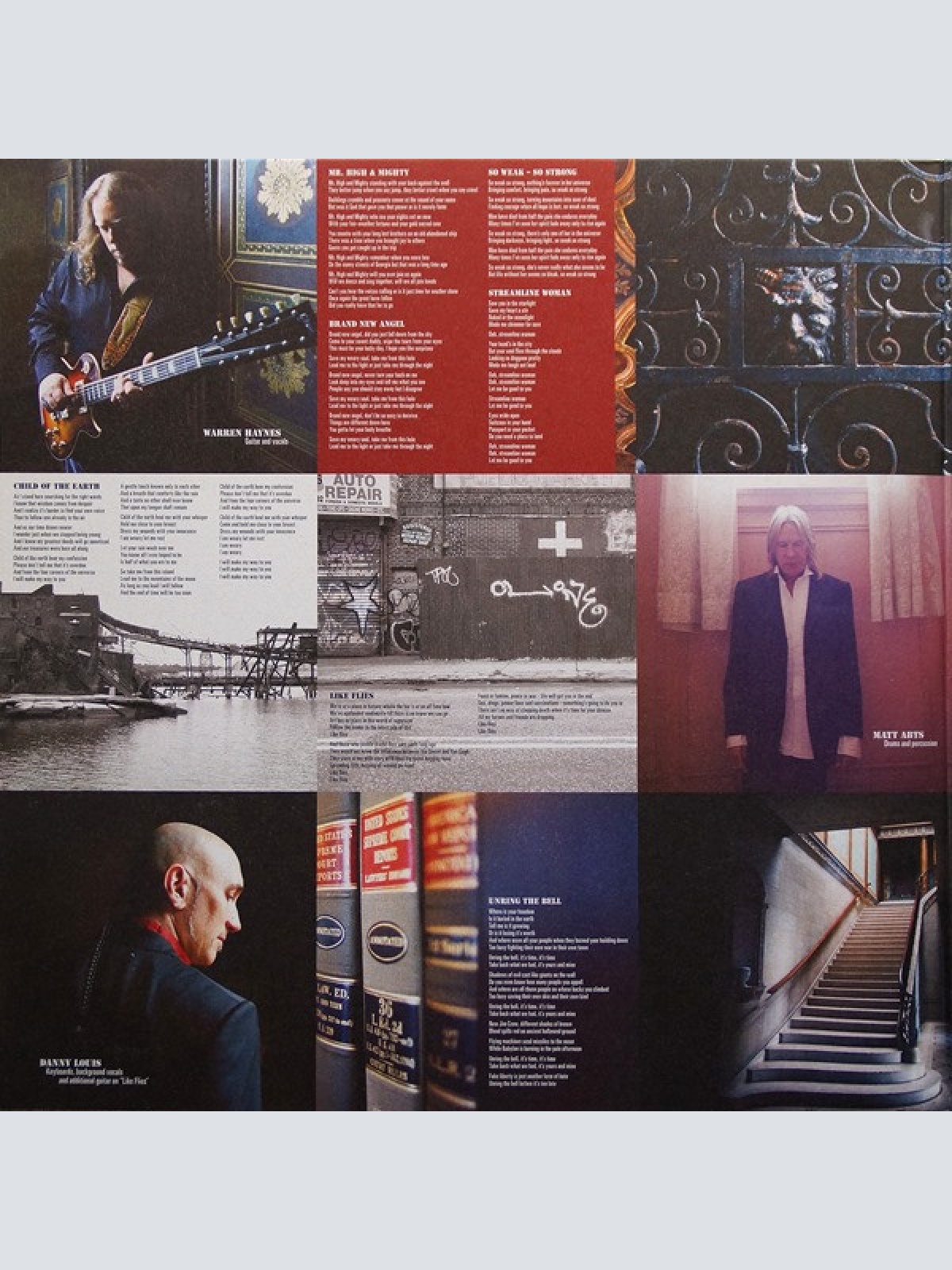 Vinyl / Gov't Mule - High & Mighty