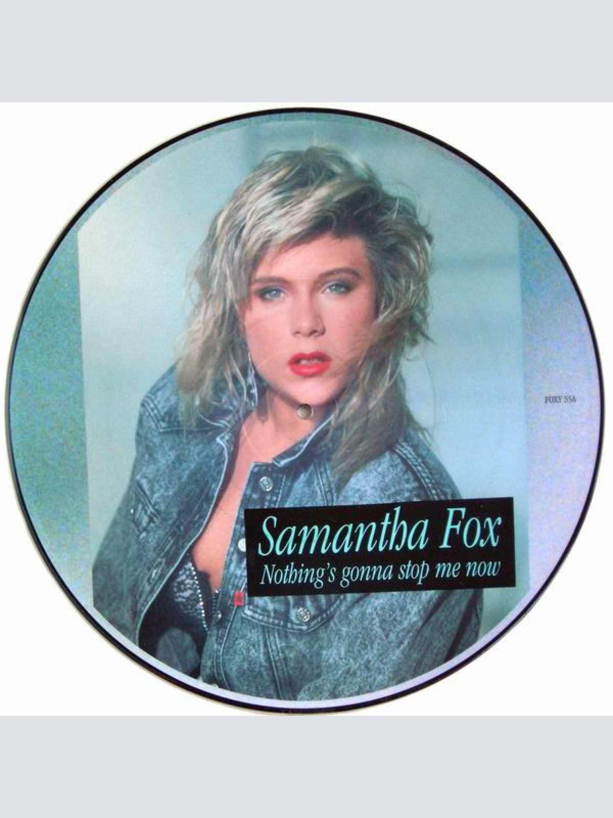 Vinyl / Samantha Fox - Nothing's Gonna Stop Me Now