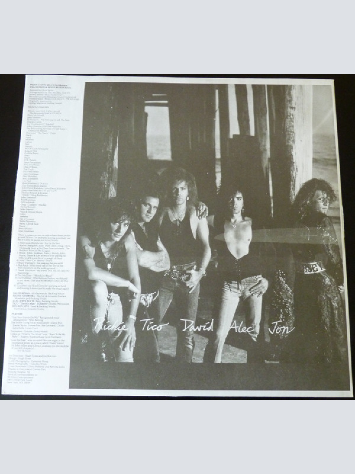 Vinyl / Bon Jovi - New Jersey